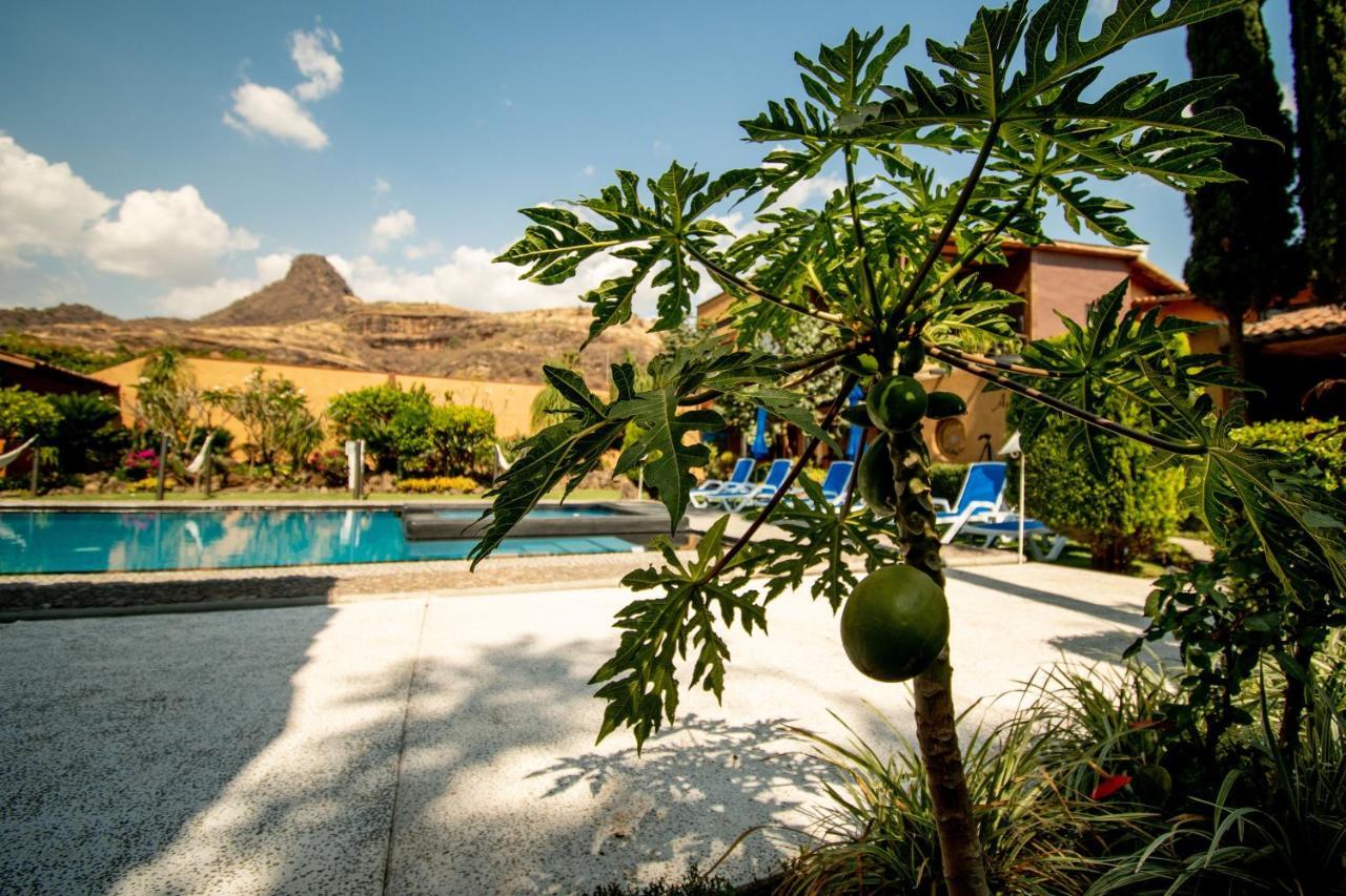 Quinta Ascension Hotel Boutique Only Adults 말리날코 외부 사진